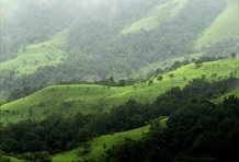 Kudremukh National Park